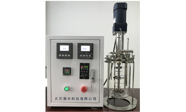 玻璃发酵罐