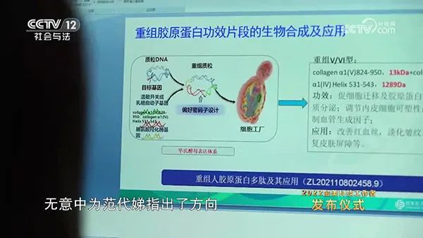 类人胶原蛋白项目 类人胶原蛋白项目